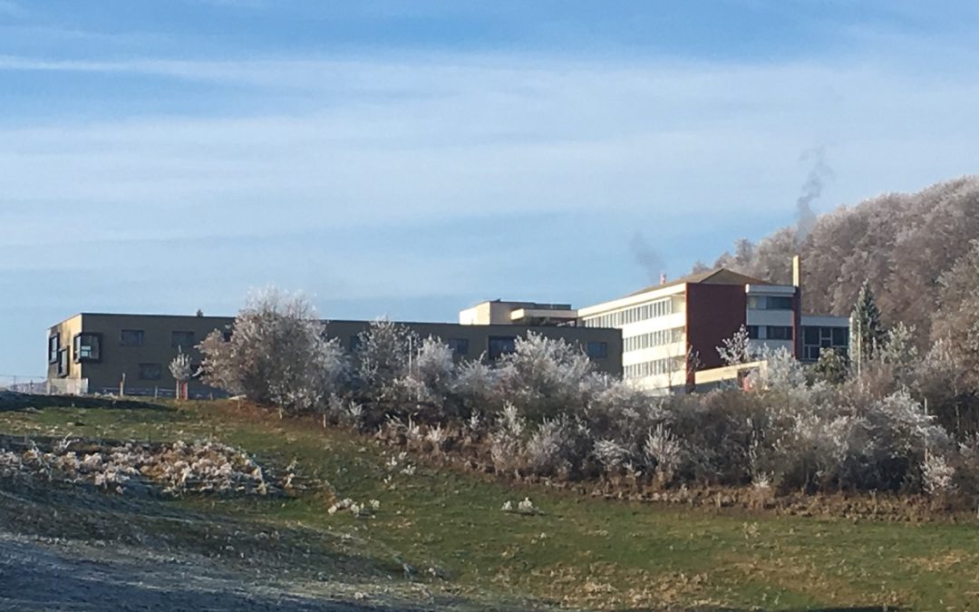 Home médicalisé et unité de psychogériatrie Maggenberg Tavel